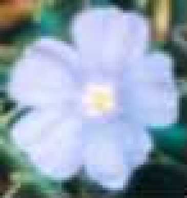 Click for a Rich Text printed version of the list